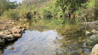 The primeval forest records the sound of flowing water and the white noise of the river高清水流声白噪音