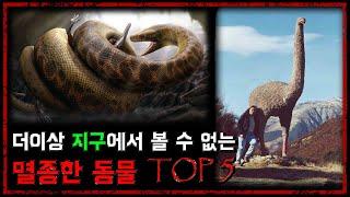 더이상 지구에서 볼 수 없는 멸종동물 TOP 5 - [멸종동물] - 숫노루TV