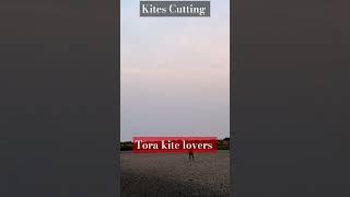 Kites Cutting #kites #kitesurfer #patang #kitecutting #shortvideo #trendingshorts #viralvide #shorts