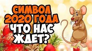 2020 ГОД КАКОГО ЖИВОТНОГО? КАКИМ БУДЕТ 2020 ГОД МЕТАЛЛИЧЕСКОЙ КРЫСЫ?