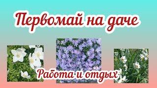 Первомай на даче,работа, отдых,что высадили,что растёт.