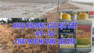 KHAI HOANG Q7 Q10 BMC GIÁ SỐC TẠI NÔNG NGHIỆP TV