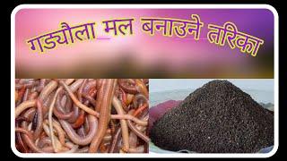 गड्यौला मल बनाउने तरिका ,gadyaula mal banaune tarika ,  earthworm farming  in nepal ( 9857059840)