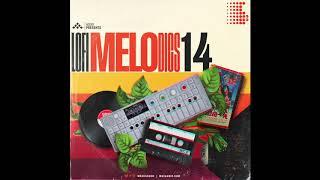 Lofi Samples by MSXII Sound Design - LoFi Melodics Vol. 14