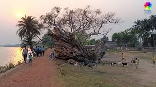 #uluberia বাংলার প্রকৃতি মনোরম সৌন্দর্য ও সম্প্রীতির সহাবস্থান | chengail