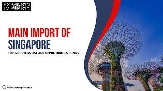 Main import of Singapore: Top importers list and Opportunities in 2025