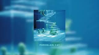 Electrochicos - Porcelain Cat