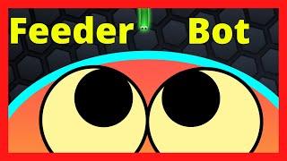 What Do Feeder Bots in Slither.io Look Like? Find Out Here How to Recognize Free Feeder Bots!