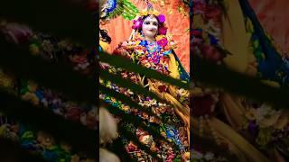 Jab koi Radha Naam Sunata Hai #motivation #radha #radheradhe #naam #satsang #bhaktibhajan #jigyasa