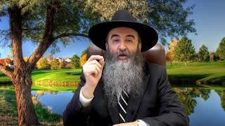 הרב הלל חיימוב - Раббай Хилель  Хаимов-Rabbi Hillel Haimov: תחיית המתים למה?  (בוכרית)