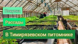 Рассада томатов и саженцы роз в Тимирязевском питомнике. апрель 2023 Обзор покупки.