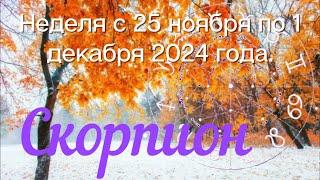 СКОРПИОН ️Неделя с 25 ноября по 1 декабря 2024 года.