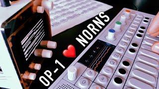 Koltrast // Electronic bird jam // Teenage Engineering OP-1 // Monome Norns