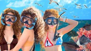 Kalogeras Sisters SWIM WITH STINGRAYS!