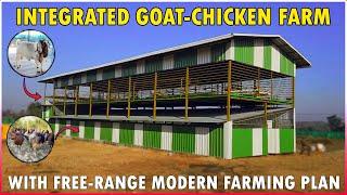 Integrated Goat and Poultry Farming Shed | Simple Integrated + Free Range Goat and Chicken Farm