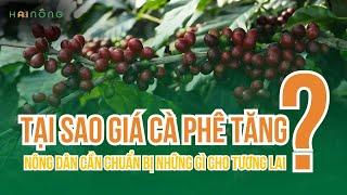 Tại sao giá cà phê liên tục tăng cao? - Trợ lý nông nghiệp 2Nông