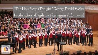 "The Lion Sleeps Tonight" George David Weiss | Knabenchor »Dagilėlis« (Remigijus Adomaitis) | EJCF