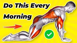  TOP 10 Exercises  You Should Do Every Morning