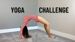Daily Yoga and Back Stretching Flexibility