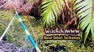 Babonnya Jackpot Berulah Lagi ‼️ Joranku Tersiksa Sampai Menukik Tajam | Mancing Liar