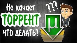 Не качает Торрент! Что делать?