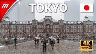 Heavy Snowfall in Tokyo 2022【4K】