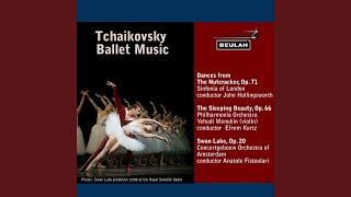 Swan Lake, Op. 20, Act 2: Danse Des Cygnes