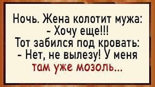 Как муж на хозяйстве мозоль натер! Сборник свежих анекдотов! Юмор!