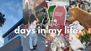 PRODUCTIVE 6AM DAYS VLOG | trader joes haul | home decor shopping | aesthetic