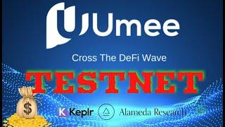 Новый testnet Umee с топовыми фондами