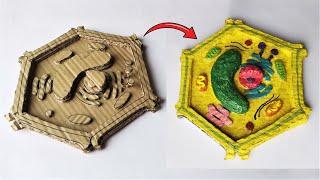 Cardboard Plant Cell Model | DIY Project