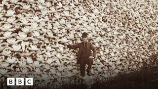 The story behind the famous ‘bison skull’ photo | BBC Global