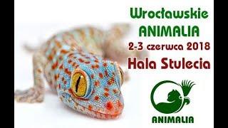 Animalia 2018 Hala Stulecia Wrocław