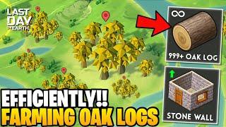 HOW TO FARM OAK LOGS FOR BEGINNERS! - Last Day on Earth: Survival