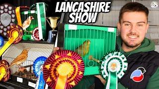 SUCCESS! | Lancashire British Bird & Hybrid Club 2024