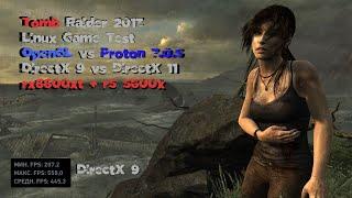 Linux Gaming: Tomb Raider 2013 OpenGL vs Proton(DirectX 11 vs DirectX 9)