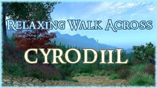Relaxing Walk Across Cyrodiil... Again [TES4 Oblivion] 4k