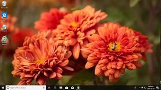 Windows 10 -  How to edit read only host file in NotePad