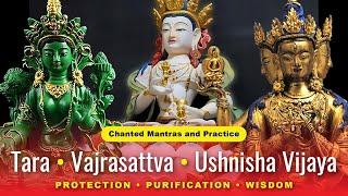 Tara, Vajrasattva, Ushnisha Vijaya: Mantras and Practice -- Protection, Purification, Long Life