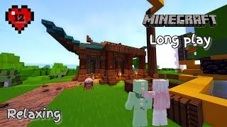 Minecraft Survival - Relaxing Longplay - building house for Levine 1.20.4 (No Commentary) Ep. #12