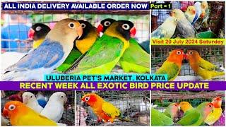 Uluberia Pet's Market | Recent Week All Exotic Bird Price Update | 20/07/2024 | Uluberia Bird Market