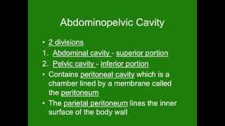 Unit 1 - Video 6 - Cavities