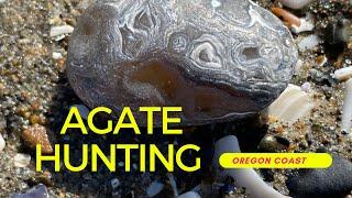 Agate Hunting(Oregon Coast) Ep.3