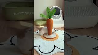 Carrot Cat Scratcher  #onlinefinds #catlover #animallover #petlover