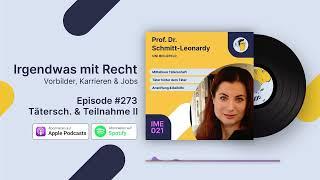 Täterschaft und Teilname - Teil 2 | Interview Prof. Schmitt-Leonardy | Irgendwas mit Recht #273