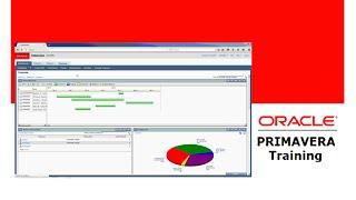 Primavera P6 Creating Activity Code Values Part 18