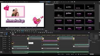 Edius Free Download Open Title 2019 pink sperow