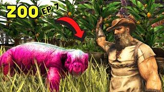 Ark Zoo Ep 7 | ZOO TOUR!! Breeding 4 Colorful Dinos, Building Their New Home, and Touring the Zoo