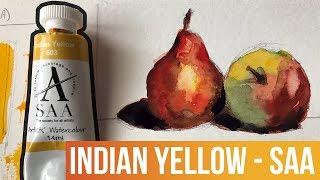 Indian Yellow - SAA Watercolor Paints | The Paint Show 38