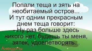 Зять тещу на острове… Подборка смешных жизненных анекдотов Лучшие короткие анекдоты